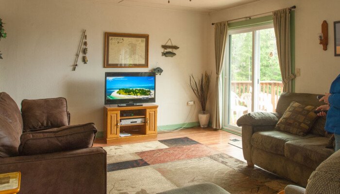 Cozy living room with TV and forest view through window