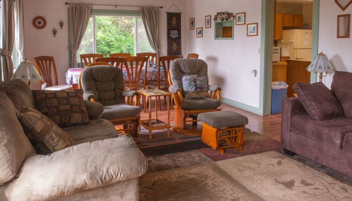 Cozy living room interior with furniture and natural light