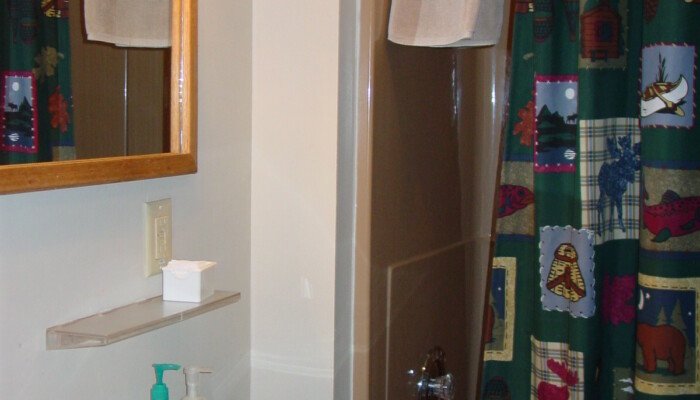 Cozy bathroom interior with decorated shower curtain
