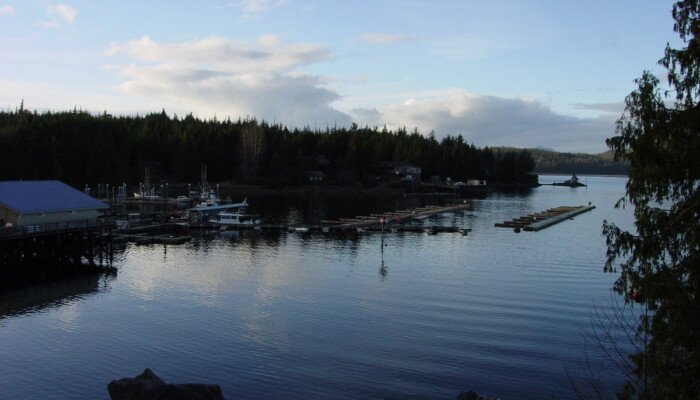 Serene lake with docks and forested shoreline at dusk