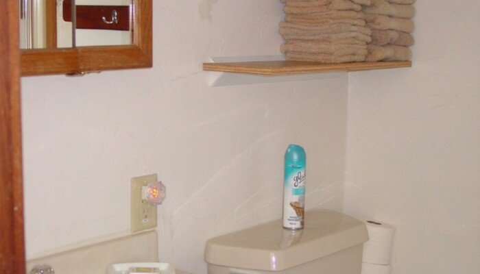 Small bathroom with beige fixtures and wooden cabinetry