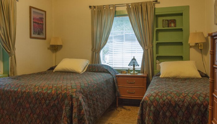 Cozy twin bedroom with green bookshelf and classic decor