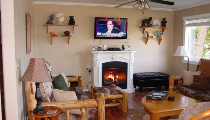 Cozy living room with fireplace and television