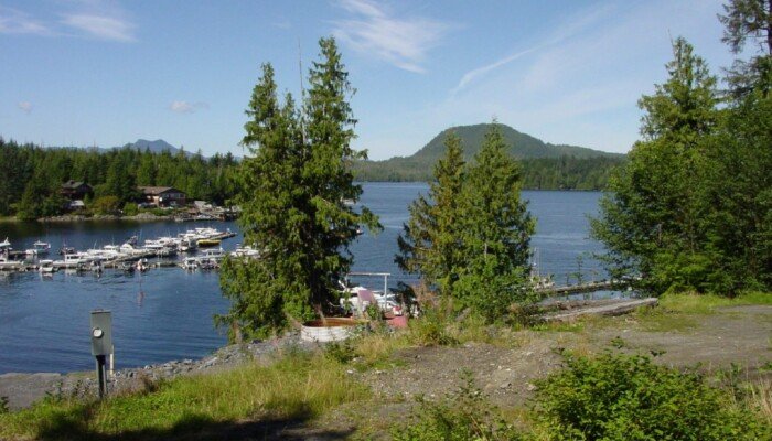 Scenic lake view with marina and lush greenery
